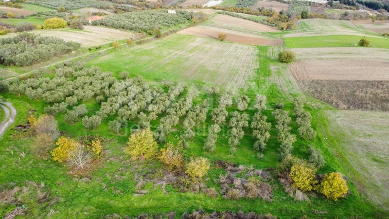 Αγροτεμάχια 4.500 τ.μ. προς πώληση, Κέντρο Μεθώνης Πιερίας