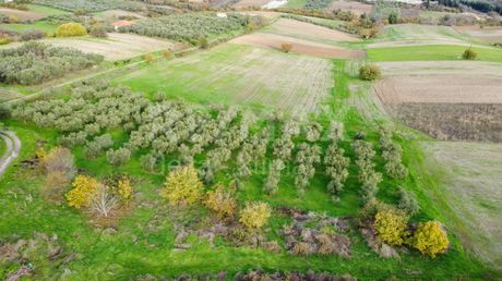 Αγροτεμάχια 4.500τ.μ. για πώληση-Μεθώνη » Κέντρο