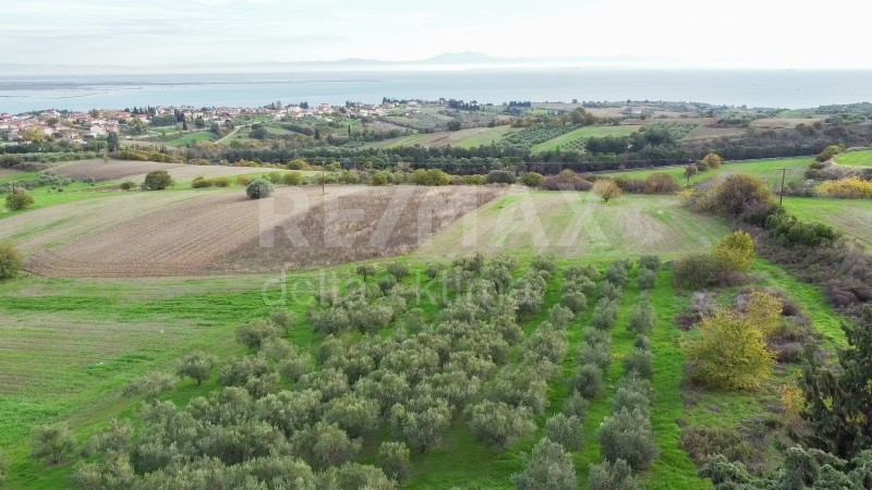 Αγροτεμάχια 4.500 τ.μ. προς πώληση, Κέντρο Μεθώνης Πιερίας