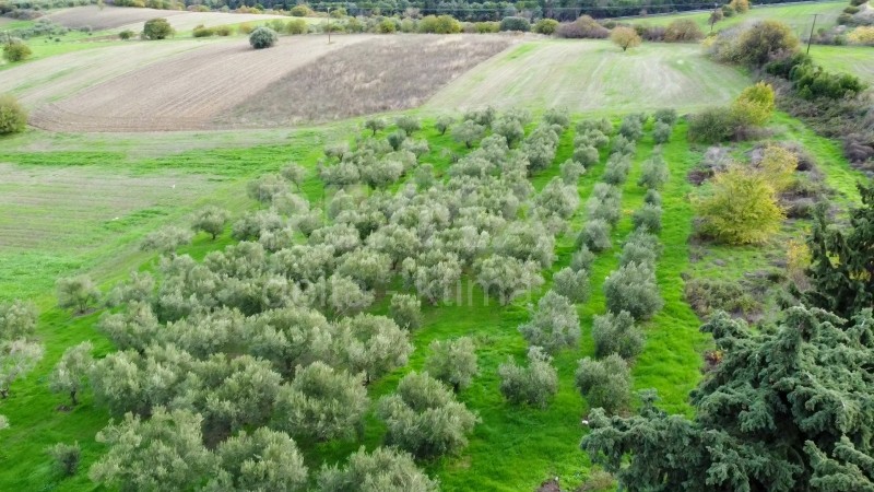 Αγροτεμάχια 4.500 τ.μ. προς πώληση, Κέντρο Μεθώνης Πιερίας