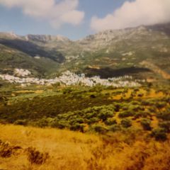 Αγροτεμάχια 3.200 τ.μ. για πώληση