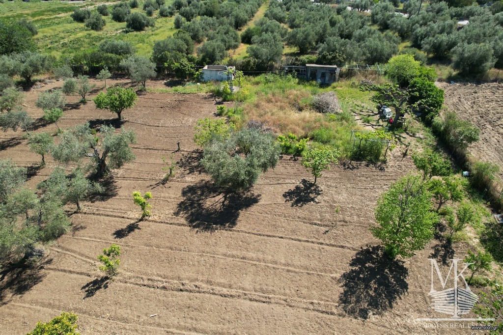 Μονοκατοικία 31 τ.μ. πρός πώληση, Αττική - Υπόλοιπο, Κ. Σκάλας Ωρωπού