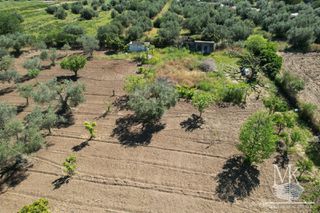 Μονοκατοικία 31 τ.μ. για πώληση