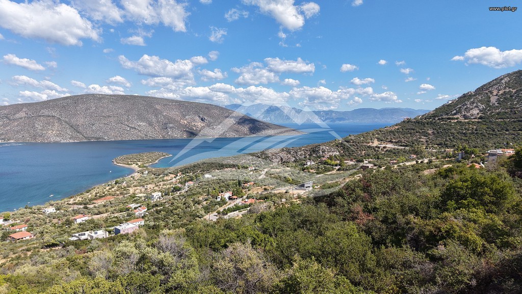Οικόπεδο 1.025 τ.μ. πρός πώληση, Εύβοια, Ανθηδώνος