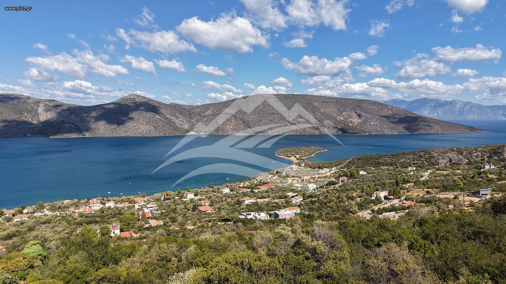 Οικόπεδο 1.025 τ.μ. πρός πώληση, Εύβοια, Ανθηδώνος