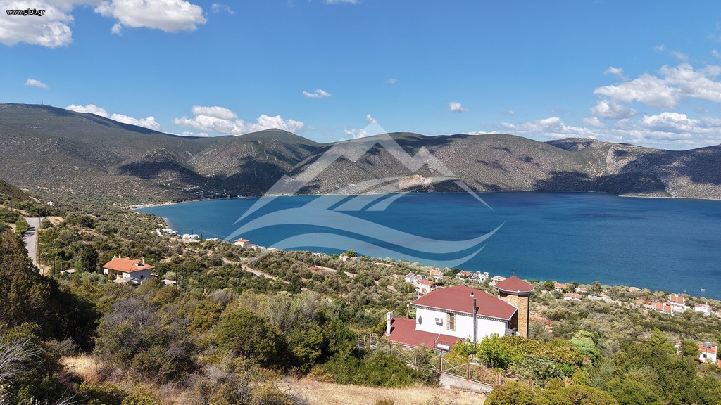 Οικόπεδο 1.025 τ.μ. πρός πώληση, Εύβοια, Ανθηδώνος