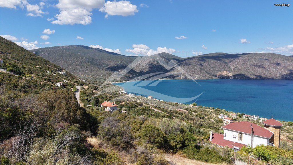 Οικόπεδο 1.025 τ.μ. πρός πώληση, Εύβοια, Ανθηδώνος