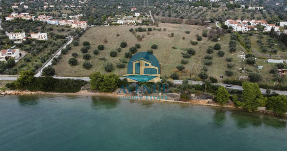 Αγροτεμάχια 74.557 τ.μ. προς πώληση, Άγιοι Ασώματοι Ερέτριας