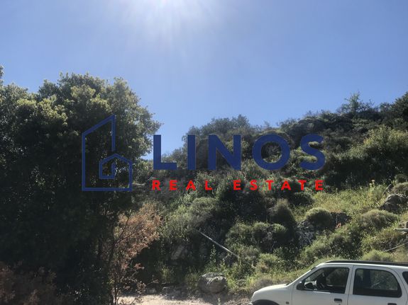 Land plot 12.000 sqm for sale, Argosaronikos Islands, Aegina
