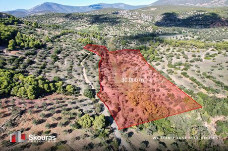 Αγροτεμάχια 30.000τ.μ. για πώληση-Κρανίδι