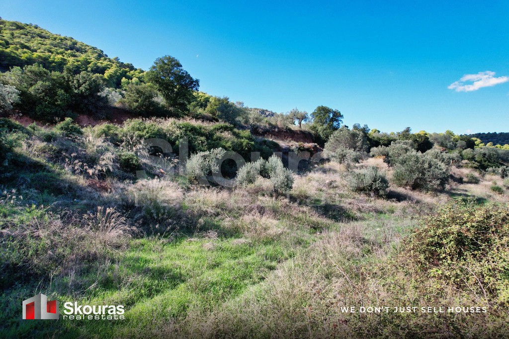 Αγροτεμάχια 30.000 τ.μ. προς πώληση, Φούρνοι Κρανιδίου