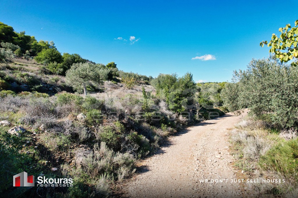 Αγροτεμάχια 30.000 τ.μ. προς πώληση, Φούρνοι Κρανιδίου