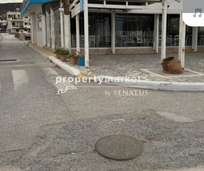 Επιχείρηση 250τ.μ. για πώληση-Ιεράπετρα » Παχεία άμμος