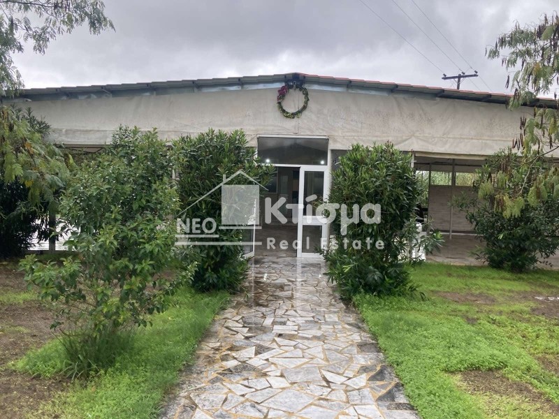 Επιχειρηματικό κτίριο 142 τ.μ. πρός πώληση, Ν. Ηλείας, Ωλένη