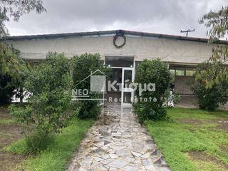 Επιχειρηματικό κτίριο 142 τ.μ. για πώληση