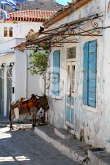 Οικόπεδο 20.000 τ.μ. για πώληση, Αργολίδα, Κρανίδι-thumb-3