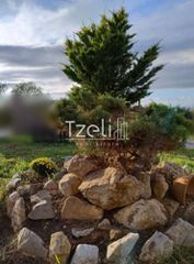 Μονοκατοικία 240 τ.μ. για πώληση, Αχαΐα, Μεσσατίδα-thumb-17