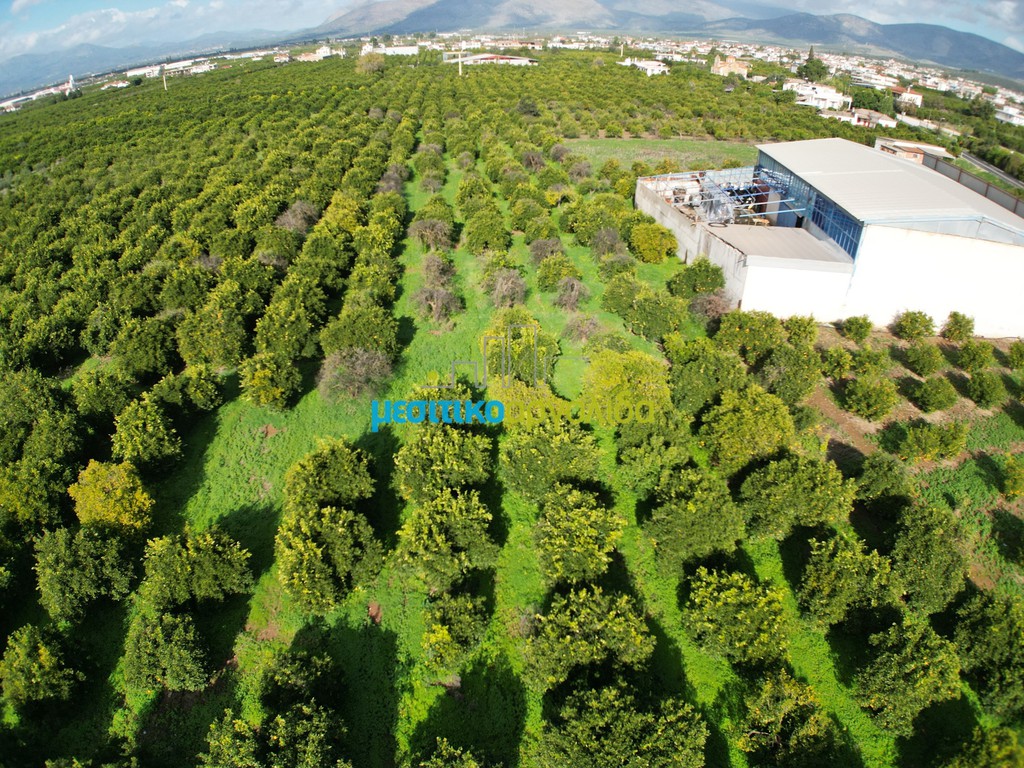 Αγροτεμάχια 6.750 τ.μ. προς πώληση, Αγία Τριάδα Μιδέας