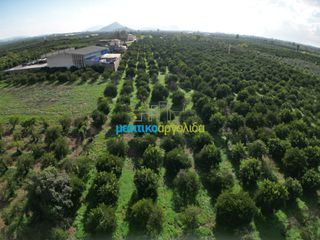Αγροτεμάχια 6.750 τ.μ. για πώληση, Αργολίδα, Μιδέα-thumb-9