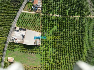 Αγροτεμάχια 6.750 τ.μ. για πώληση, Αργολίδα, Μιδέα-thumb-10