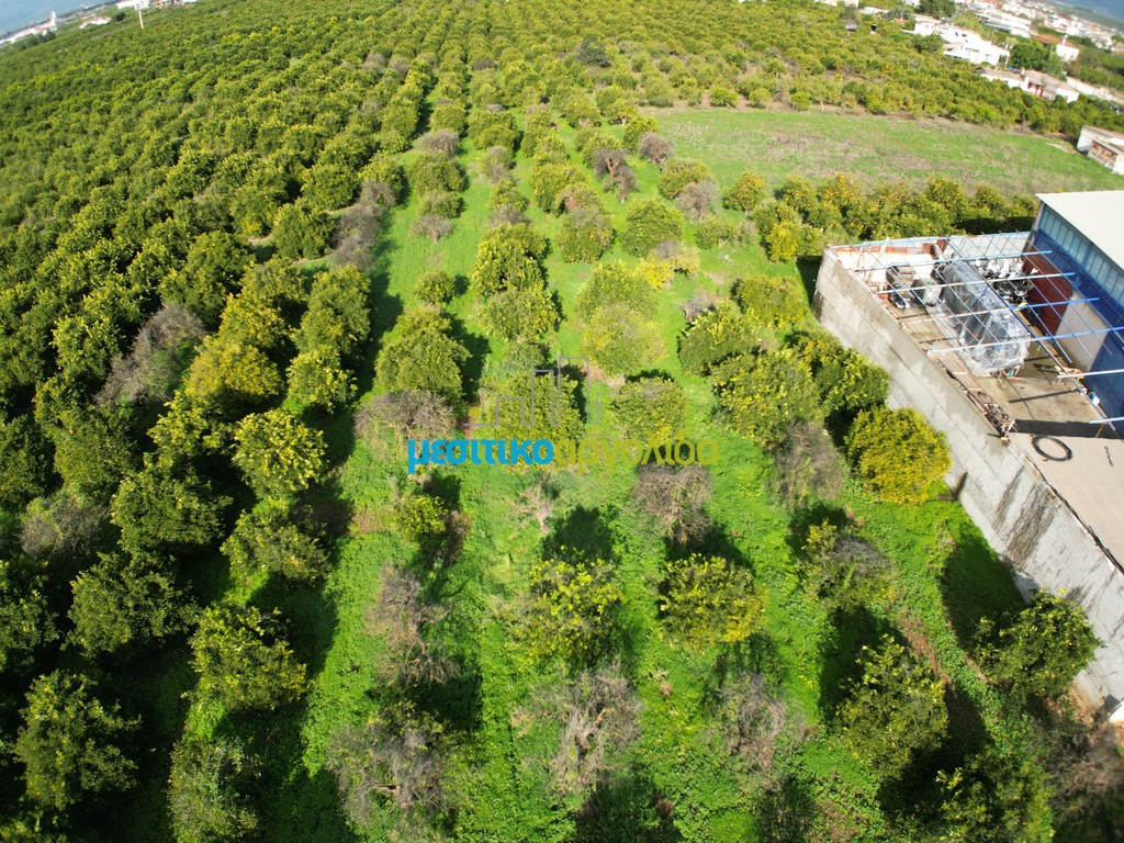 Αγροτεμάχια 6.750 τ.μ. προς πώληση, Αγία Τριάδα Μιδέας