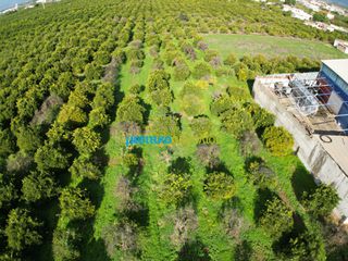 Αγροτεμάχια 6.750 τ.μ. για πώληση, Αργολίδα, Μιδέα-thumb-4