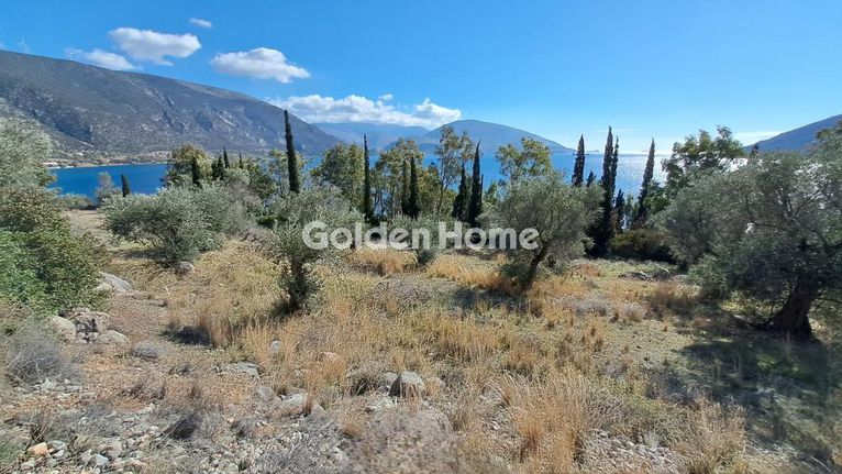 Land plot 33.198 sqm for sale, Boeotia, Distomo