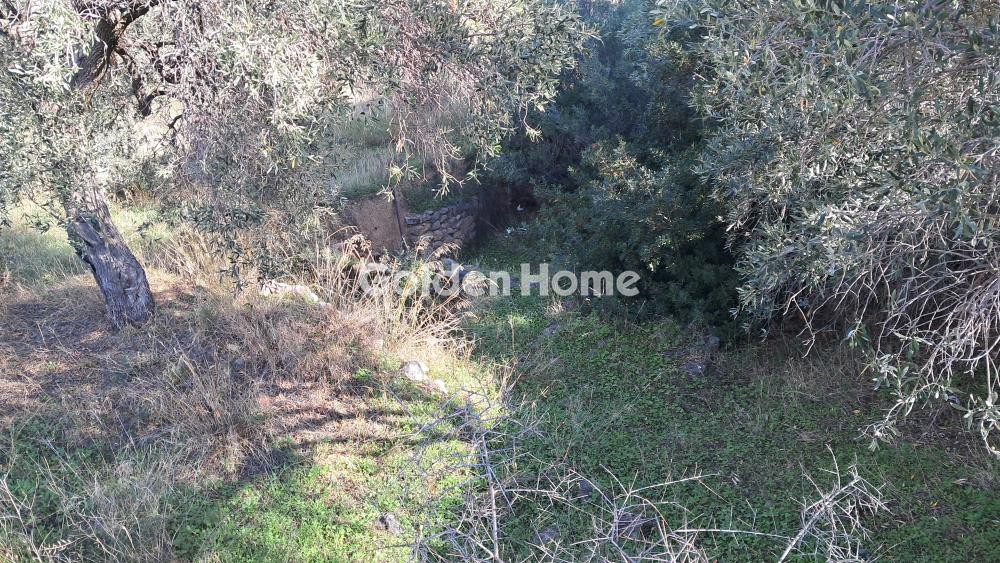 Οικόπεδο 300 τ.μ. προς πώληση, Βοιωτία, Αντικύρα