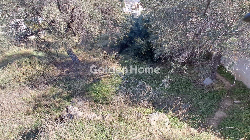 Οικόπεδο 300 τ.μ. προς πώληση, Βοιωτία, Αντικύρα
