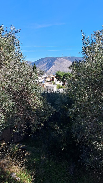 Οικόπεδο 300 τ.μ. προς πώληση, Βοιωτία, Αντικύρα