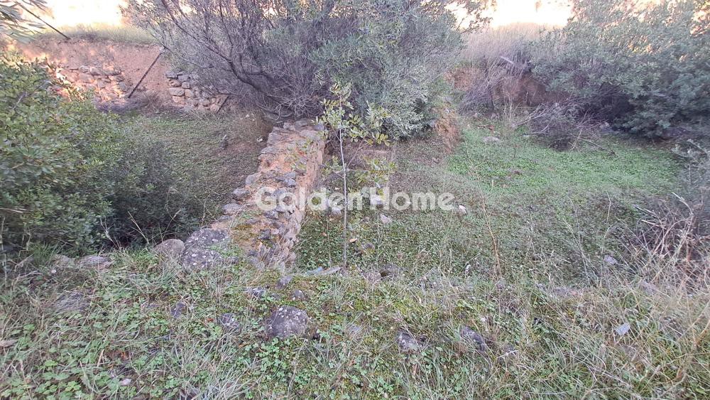 Οικόπεδο 300 τ.μ. προς πώληση, Βοιωτία, Αντικύρα
