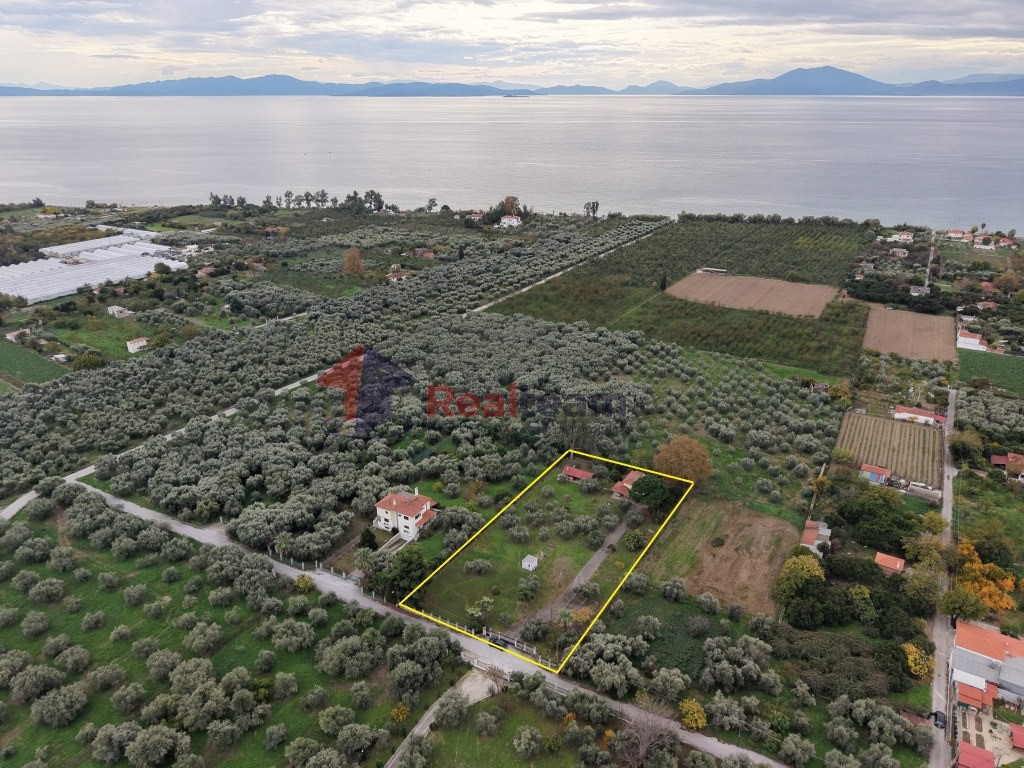 Αποθήκη 74 τ.μ. πρός πώληση, Μαγνησία, Αρτέμιδα