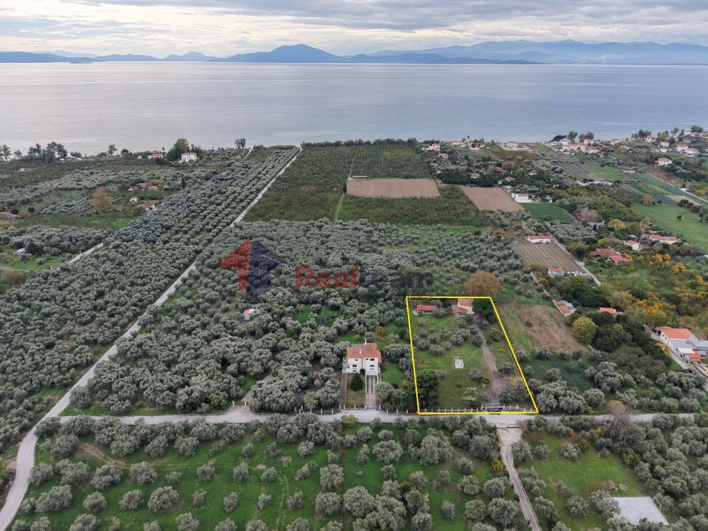 Αποθήκη 74 τ.μ. πρός πώληση, Μαγνησία, Αρτέμιδα