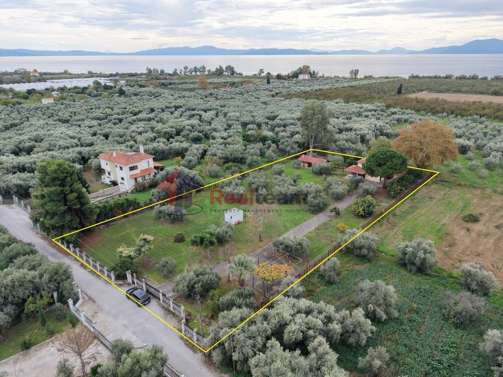 Αποθήκη 74 τ.μ. πρός πώληση, Μαγνησία, Αρτέμιδα
