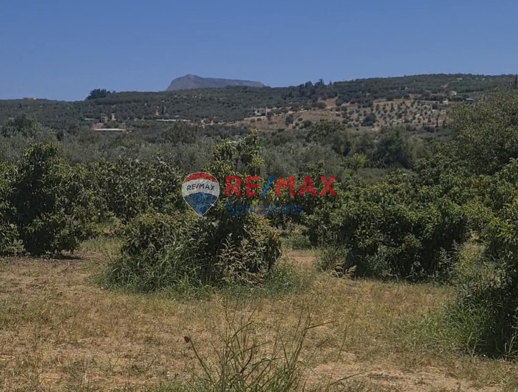 Οικόπεδο 4.025 τ.μ. προς πώληση, Καλύβες Αρμενών