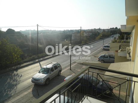 Κατάστημα 219 τ.μ. προς ενοικίαση