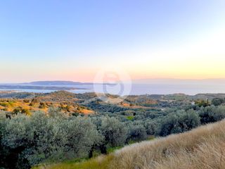 Οικόπεδο 85.000 τ.μ. για πώληση, Αργολίδα, Κρανίδι-thumb-2