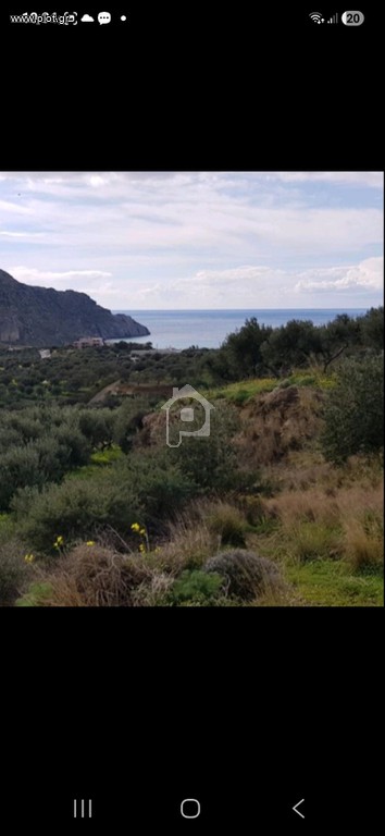 Οικόπεδο 12.700 τ.μ. για πώληση, Ν. Ρεθύμνου, Φοινίκας