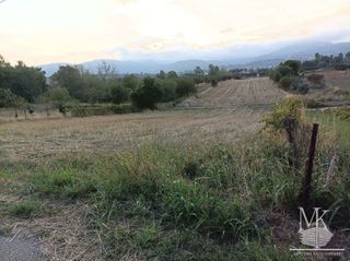 Αγροτεμάχια 6.500 τ.μ. για πώληση