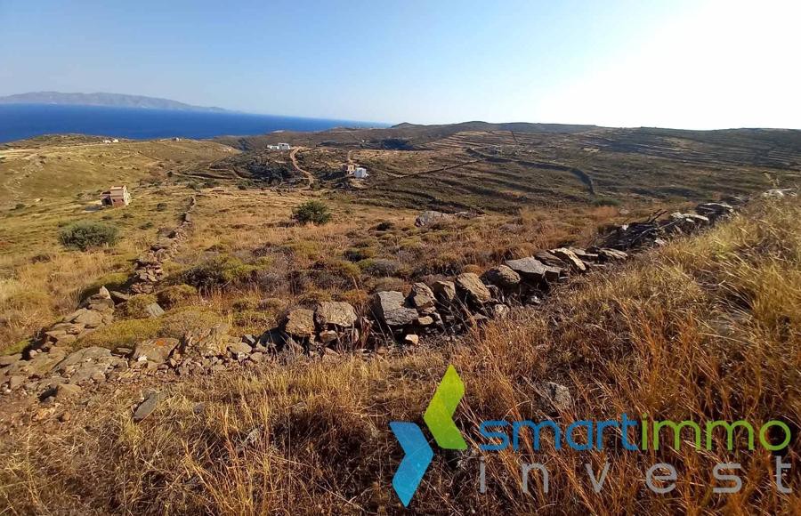 Αγροτεμάχια 24.160 τ.μ. προς πώληση, Σκύλος