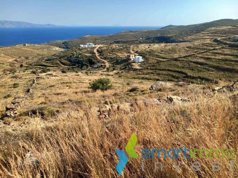 Αγροτεμάχια 24.160 τ.μ. προς πώληση, Σκύλος