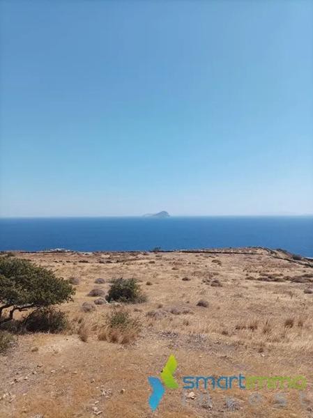 Αγροτεμάχια 9.068 τ.μ. προς πώληση, Καλό Λιβάδι