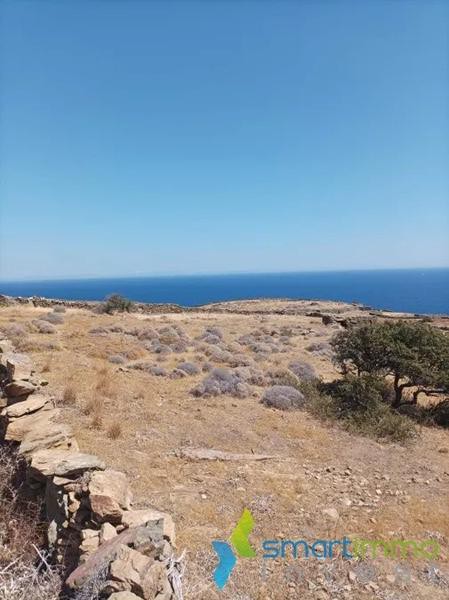 Αγροτεμάχια 9.068 τ.μ. προς πώληση, Καλό Λιβάδι