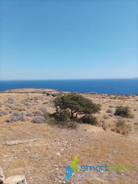Αγροτεμάχια 9.068 τ.μ. προς πώληση, Καλό Λιβάδι