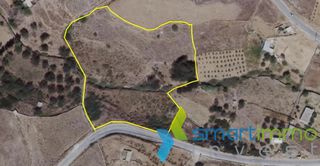 Αγροτεμάχια 8.095 τ.μ. για πώληση