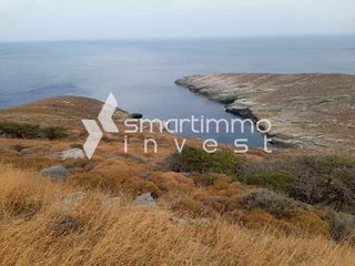 Αγροτεμάχια 8.985 τ.μ. για πώληση