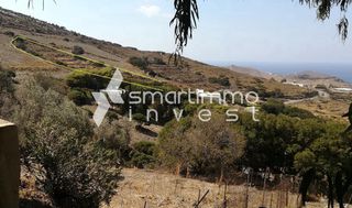 Αγροτεμάχια 3.000 τ.μ. για πώληση