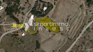 Αγροτεμάχια 3.000 τ.μ. για πώληση, Κυκλάδες, Άνδρος-thumb-4