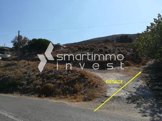 Αγροτεμάχια 3.000 τ.μ. για πώληση, Κυκλάδες, Άνδρος-thumb-3