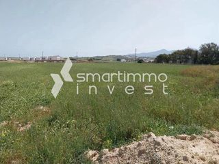 Οικόπεδο 5.196 τ.μ. για πώληση, Κυκλάδες, Πάρος-thumb-3